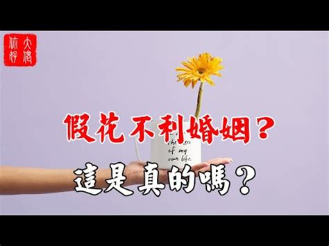 家裡放假花 風水|假植物風水：招財還是漏財？